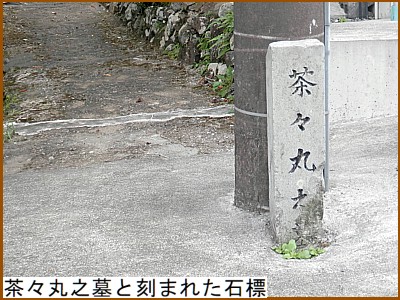 茶々丸之墓と刻まれた石標
