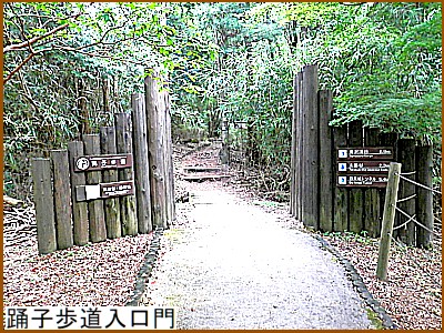 踊子悟道入り口