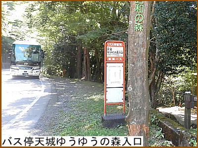 バス停天城ゆうゆうの森入口