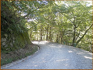 つづら折りの下り坂