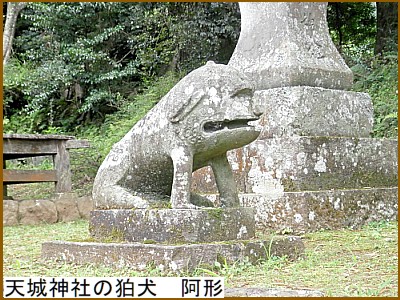 天城神社の狛犬　阿形