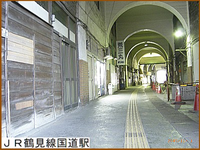 �i�q�ߌ��������w