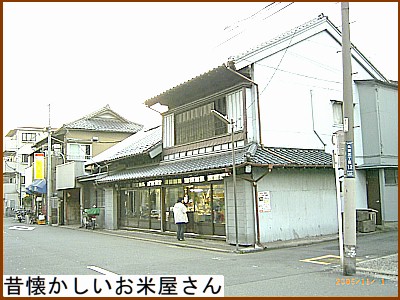 �̉����������ĉ�����