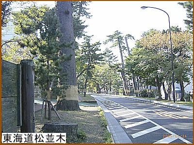 ���C��������