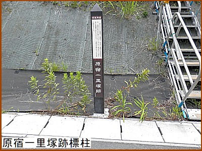 ���h�ꗢ�ːՕW��