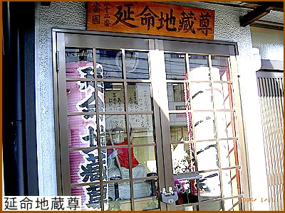 �����n����