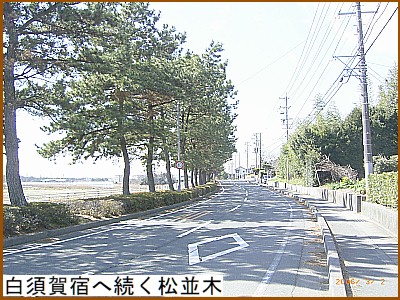 ���{��h�֑���������