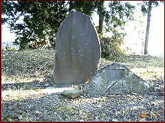 �����m�ԁE�살�炵�I�s���