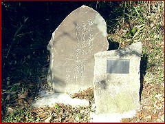 �ǐl�s�m�E�Í��a�̏W�̔�