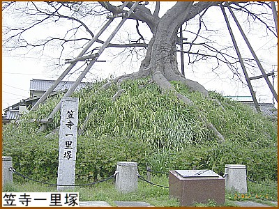 �}���ꗢ��