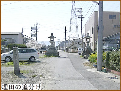 ���c�̒Ǖ���