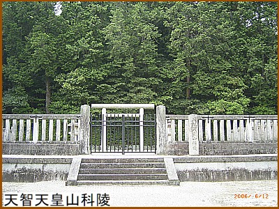 �V�q�V�c�R�ȗ�