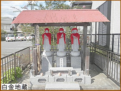 �����n��