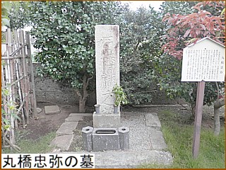 �ۋ�����̕�