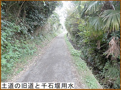 �y���̋����Ɛ獑�p��