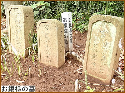 ����l�̕�