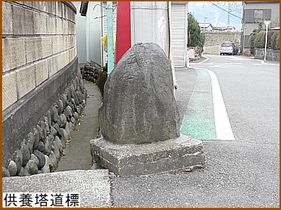 ���{�����W