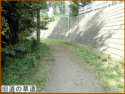 �����̑���