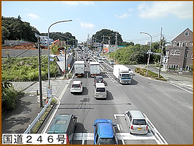 �����Q�S�U��