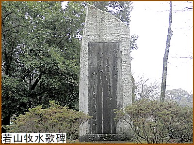 ��R�q���̔�