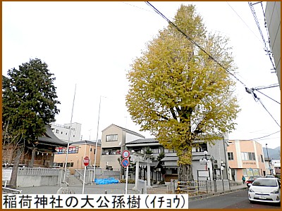 ��א_�Ђ̑������(����)