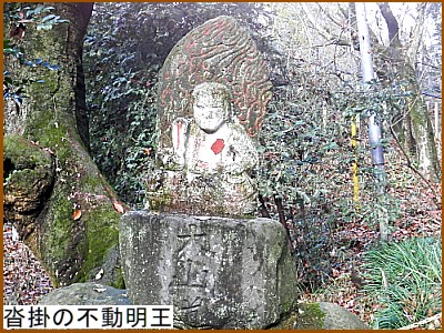 �B�|�̕s������