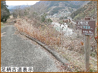 �����Ó��\��