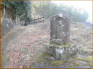 ���n���l