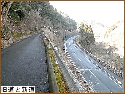 �����ƐV��