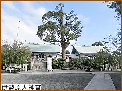 �ɐ�����_�{