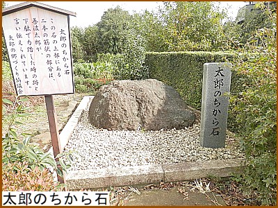 ���Y�̂������