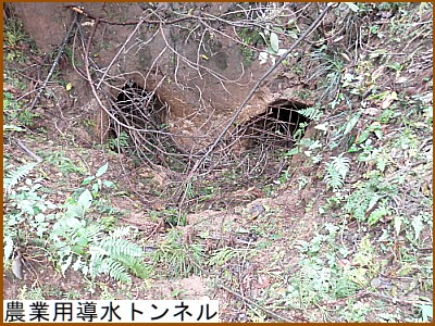 �_�Ɨp�����g���l��