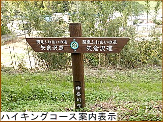 �n�C�L���O�R�[�X�̈ē��W��