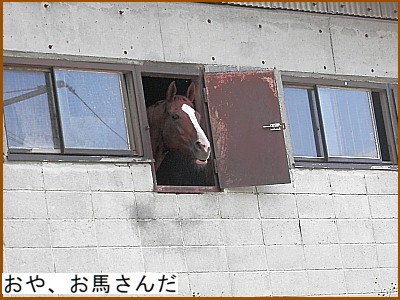 ����A���n����